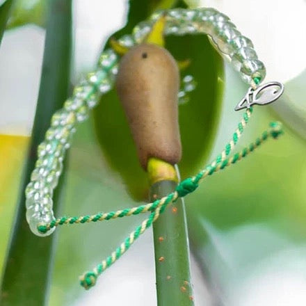 4Ocean Marine Nurseries Bracelet