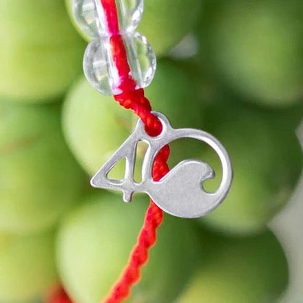 4Ocean Overfishing Bracelet