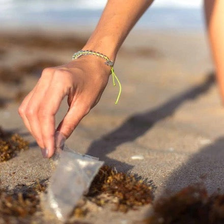 4Ocean Sea Turtle Bracelet
