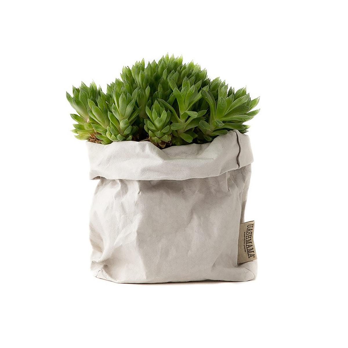 UASHMAMA Paper Bags - Small